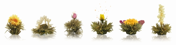 Weihnachtsbox „6 Erblühteekugeln weißer Tee“ von Creano Set: