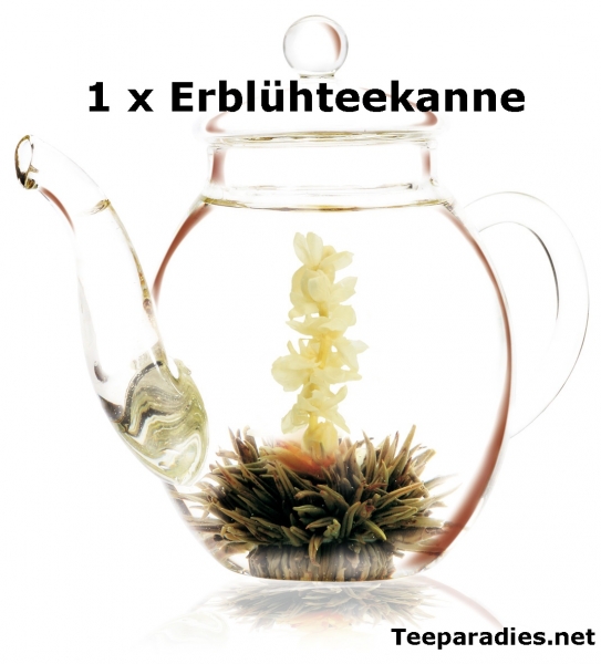 Erblühtee Kanne von Creano