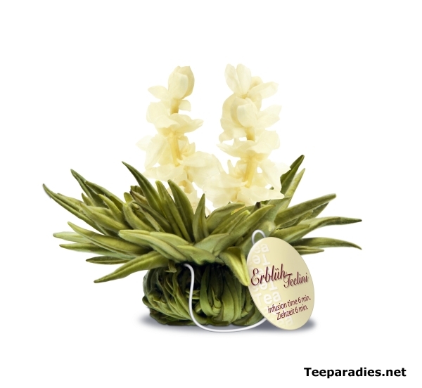 Abloom Tealini "Jasmin Heaven"